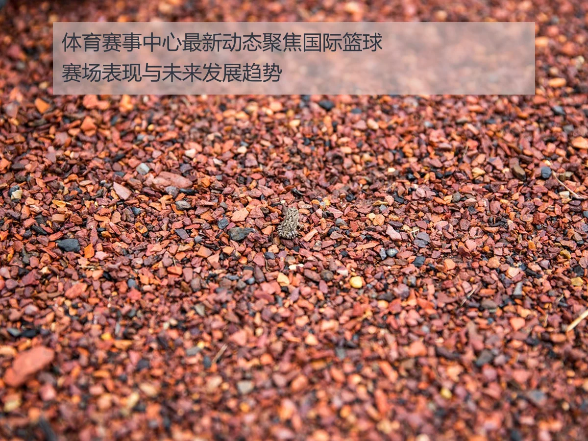 体育赛事中心最新动态聚焦国际篮球赛场表现与未来发展趋势