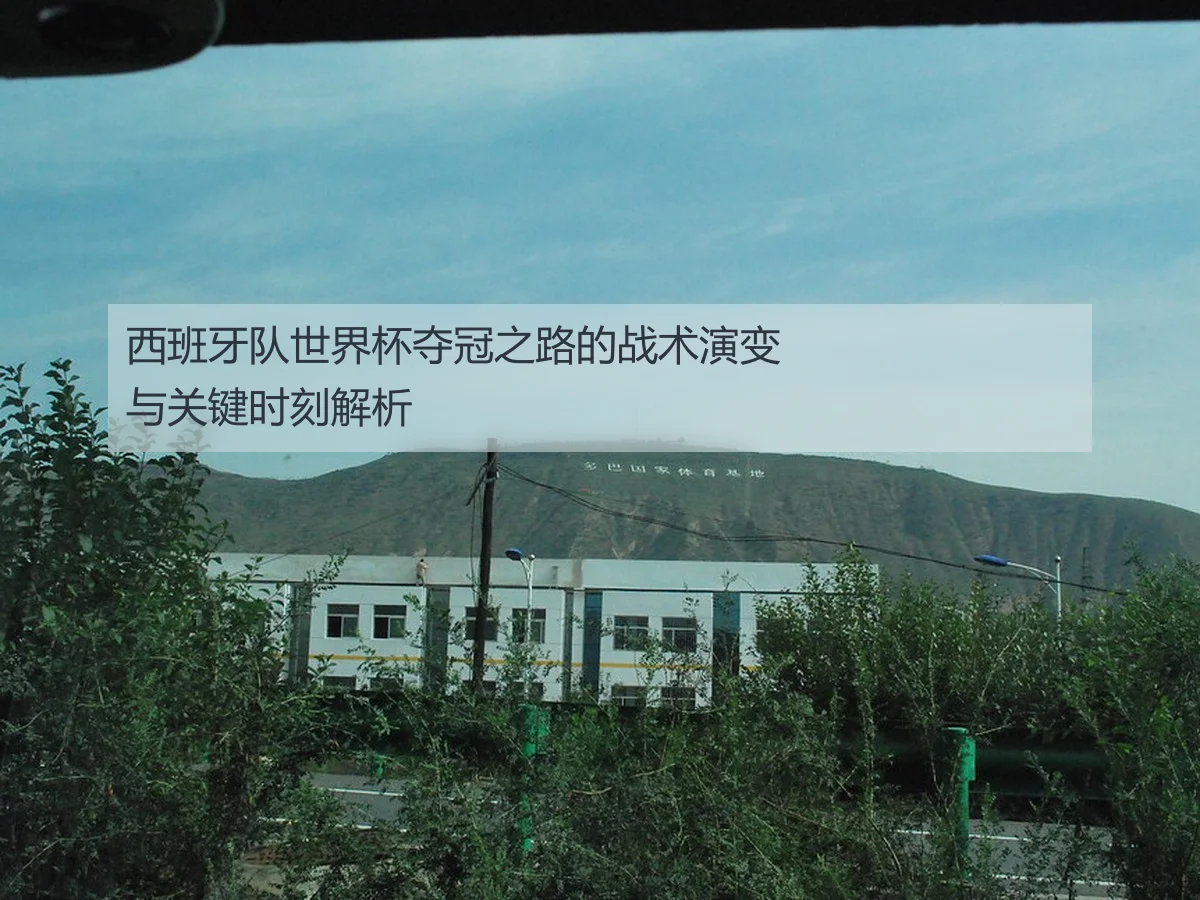西班牙队世界杯夺冠之路的战术演变与关键时刻解析